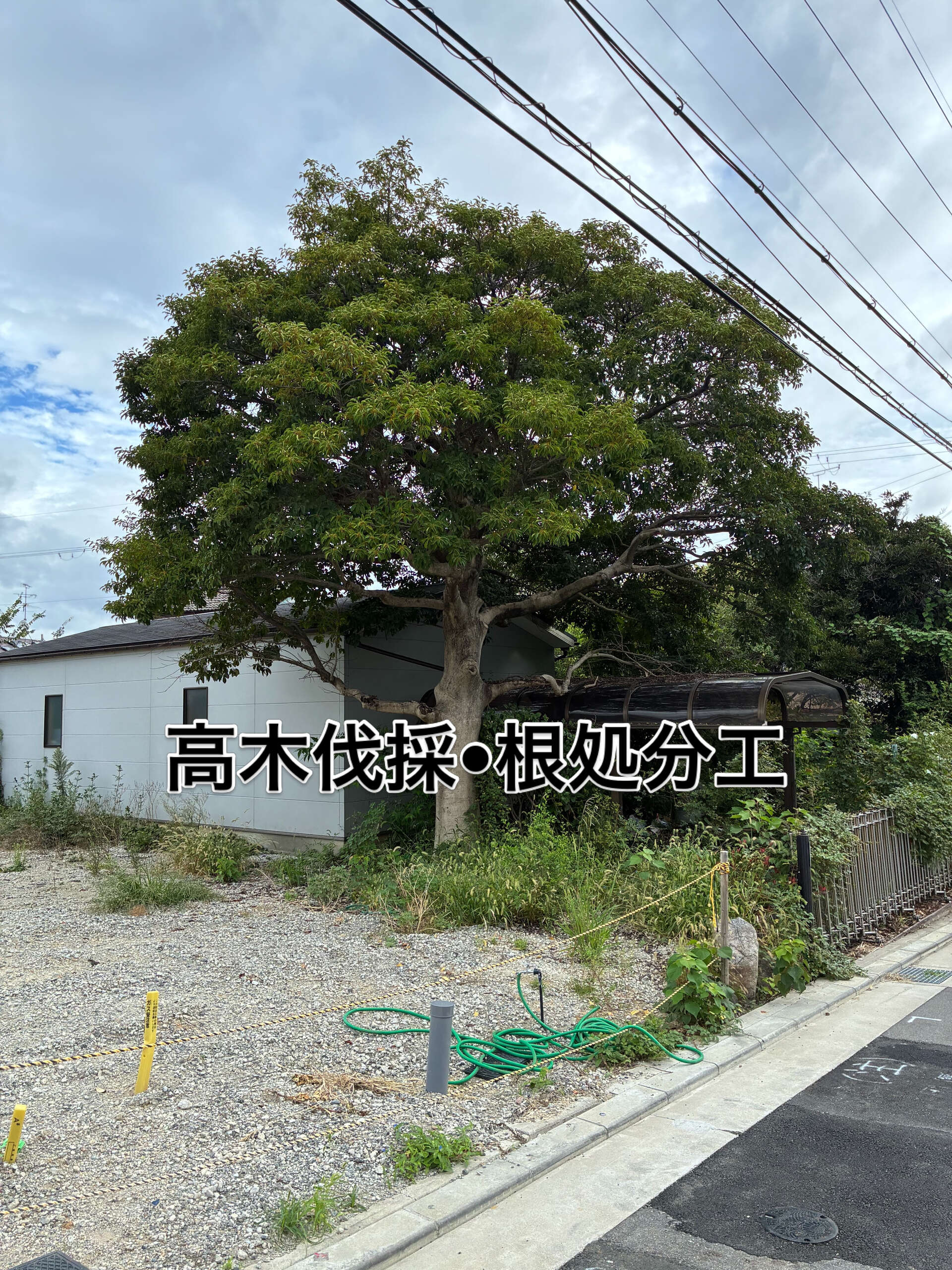 画像9090