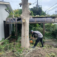 ブログ画像