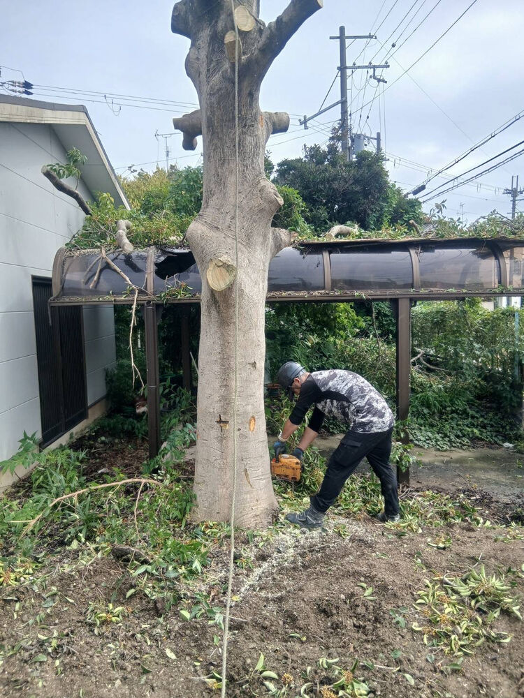 ブログ画像